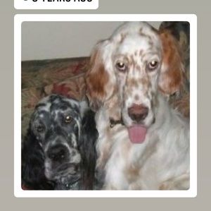 Meet your Posher, Alisa